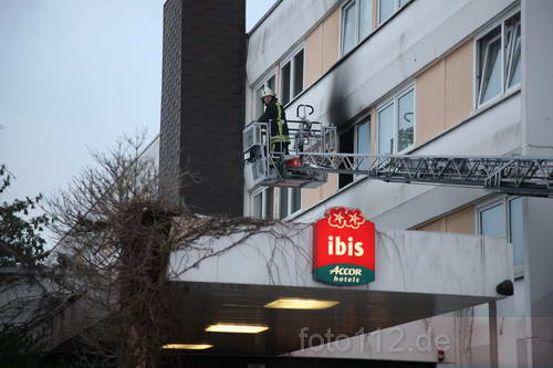 ibis-11