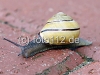 norderney-urlaubsfoto-094