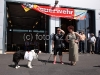 tot-fw4-neu-012