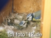 056e9564