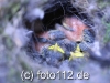 056e9715