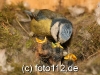 056e9751
