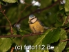 056e9756