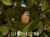 056e9757