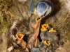 056e9772