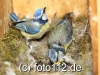 056e9787