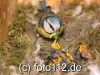 056e9795