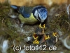 056e9798