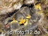 056e9836