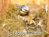 056e9857
