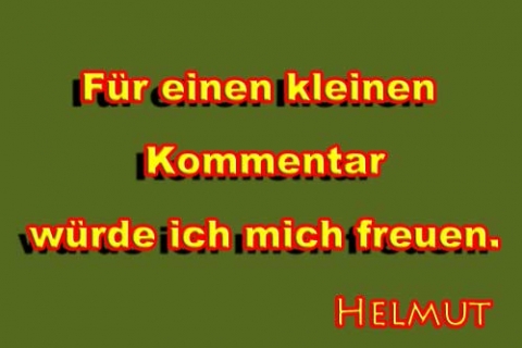 lz23_feier_502-net