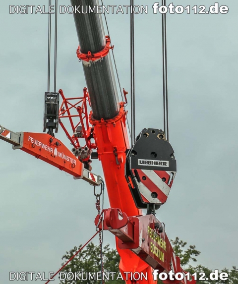 20160920-20160920-ES4P5798