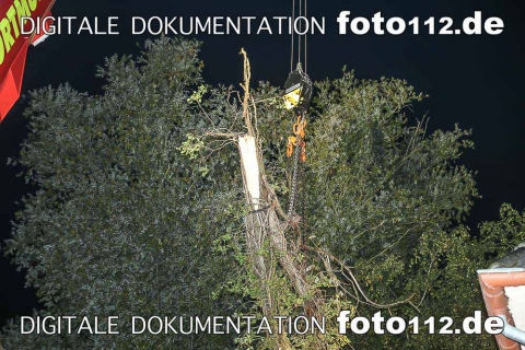 ES4P8484