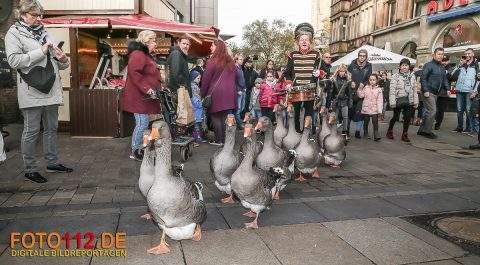 Hansemarkt-2017-005