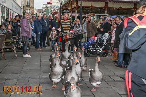 Hansemarkt-2017-006