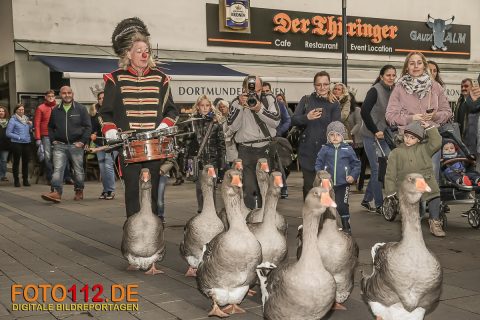 Hansemarkt-2017-007