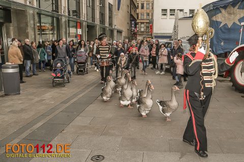 Hansemarkt-2017-008