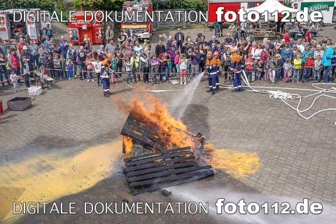 20180429-20180429-20180429-_DSC4180