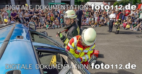 _DSC8065