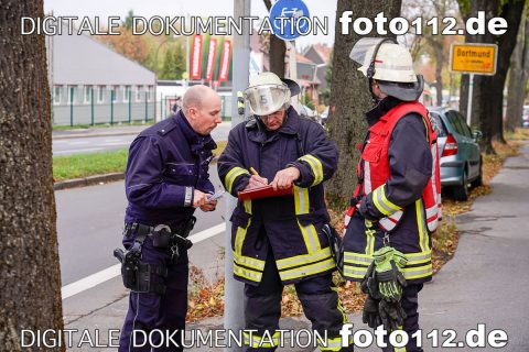 20181027-20181027-_DSC5532