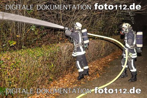 20181119-20181119-_DSC6181