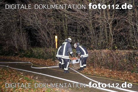 20181119-20181119-_DSC6187