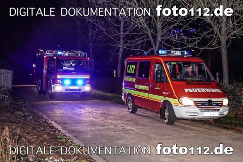 20181119-20181119-_DSC6192