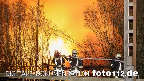 20190326-Laubenbrand-002