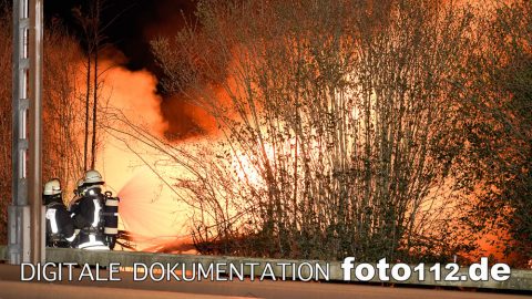 20190326-Laubenbrand-004