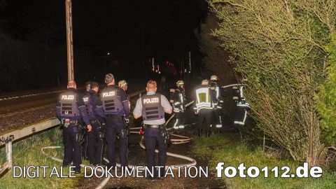 20190326-Laubenbrand-005