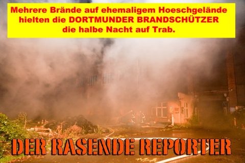 HSP-Feuer-015
