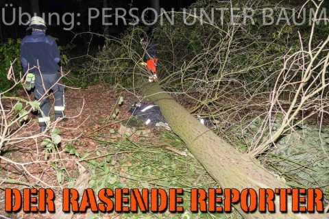 Person-unter-Baum-001