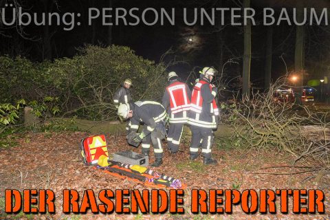 Person-unter-Baum-017