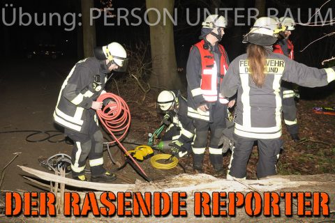 Person-unter-Baum-020