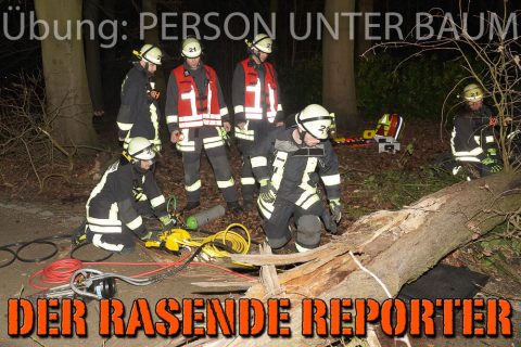 Person-unter-Baum-021