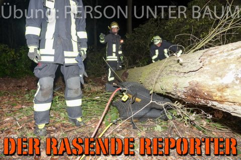 Person-unter-Baum-025