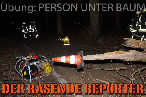 Person-unter-Baum-026