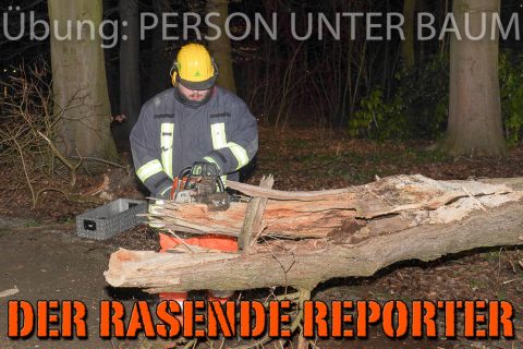 Person-unter-Baum-028