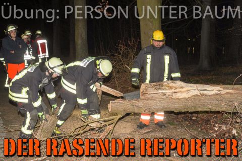 Person-unter-Baum-029