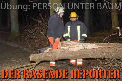 Person-unter-Baum-030