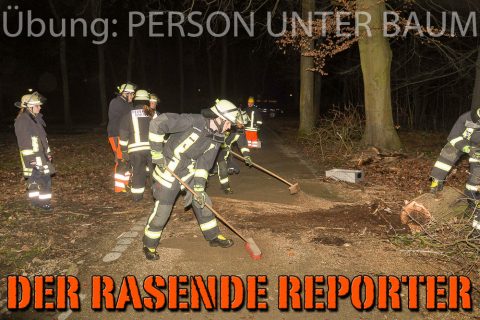 Person-unter-Baum-031
