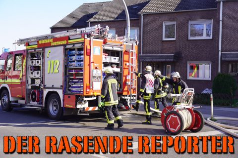 Rahmer-Straße-Feuer-im-Garten-003