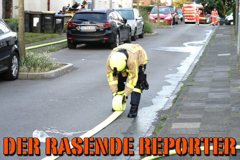 Adlerstr-Castrop-Dachstuhl-042