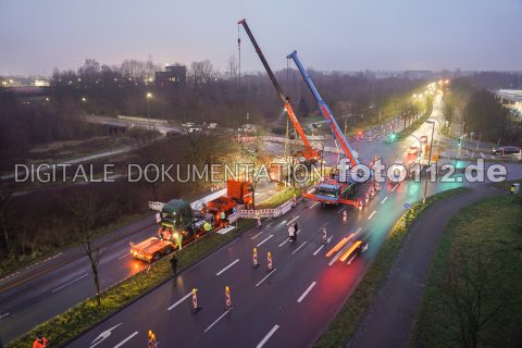 DSC00554