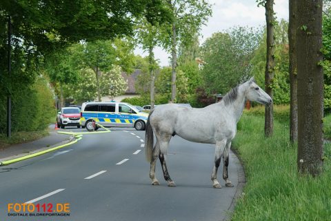 Merklinder-Strasse-brennt-Photovoltaikanlage-097