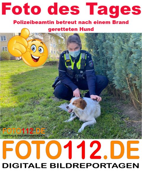 Foto-des-Tages-Pol-rettet