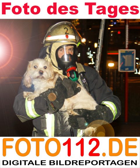 Tierretter