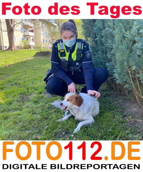 2-Foto-des-Tages-Holtestrasse
