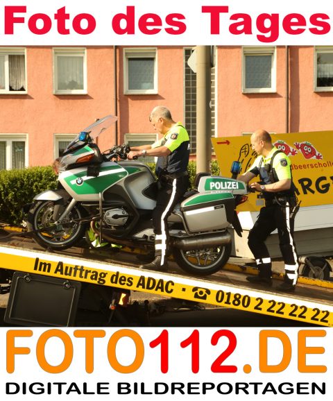 7-Foto-des-Tages-Rudi