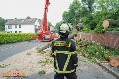 2021-06-30-Transporter-Bergung-21